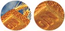 glucose biscuit